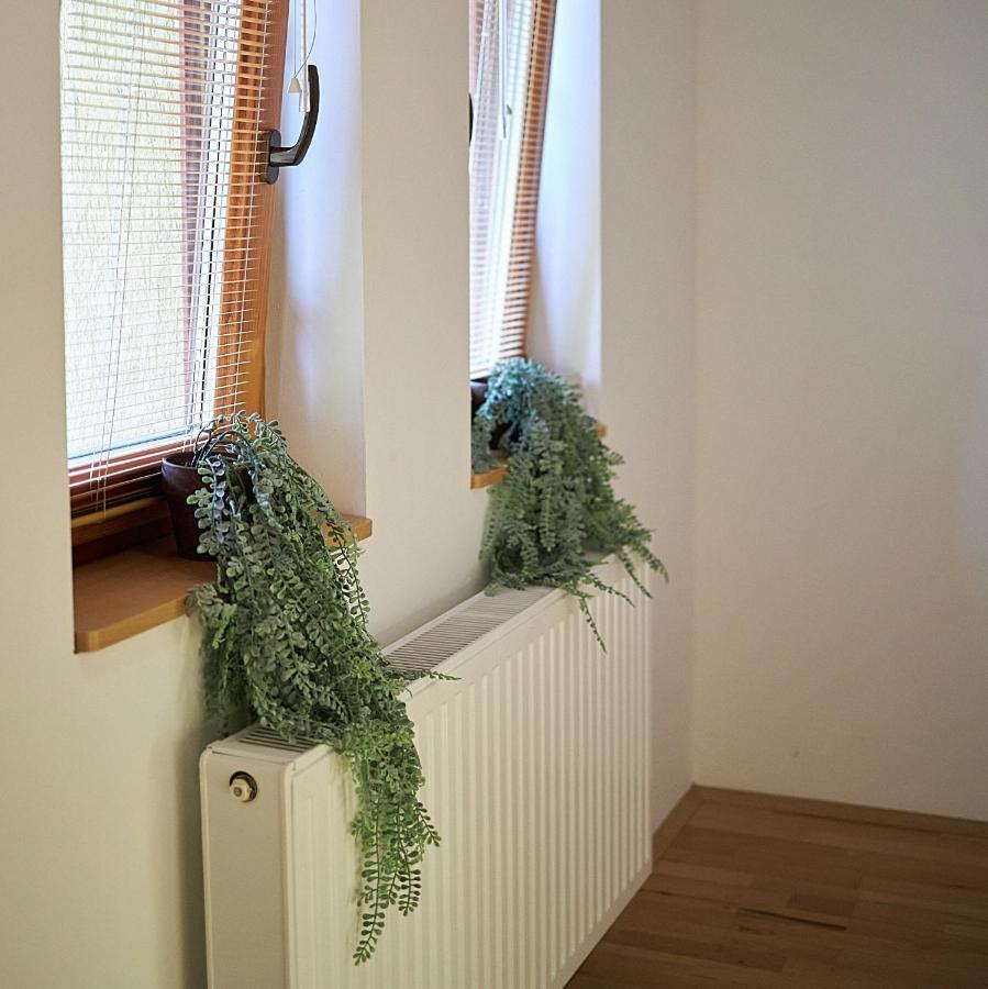 Klaudia Vendégház Mórahalom Extérieur photo
